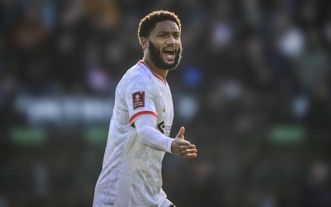 本场集锦的 本场集锦的